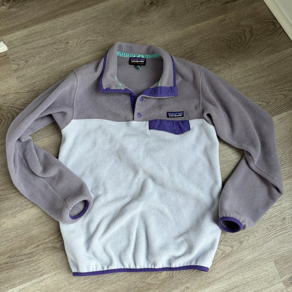 Patagonia Synchilla Fleece